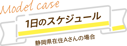 一日のスケジュール